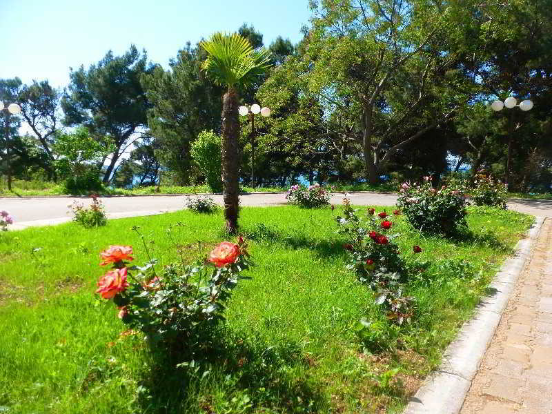 Hotel  ALBATROS  Ulcinj Esterno foto