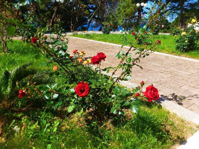 Hotel  ALBATROS  Ulcinj Esterno foto